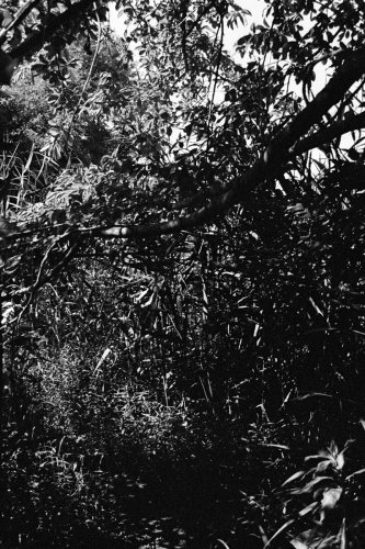 Misc_BigBoy_59_0012_g2p0012