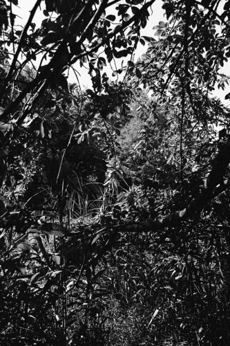 Misc_BigBoy_59_0013_g2p0013