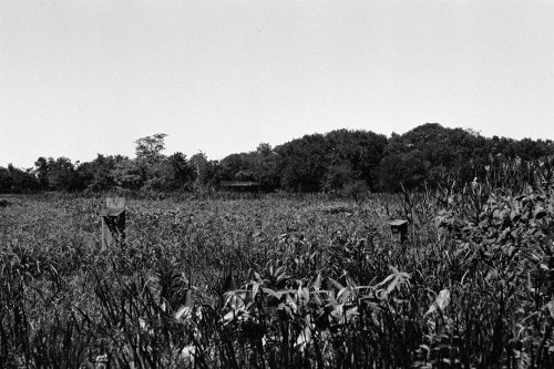 Misc_BigBoy_59_0014_g2p0014