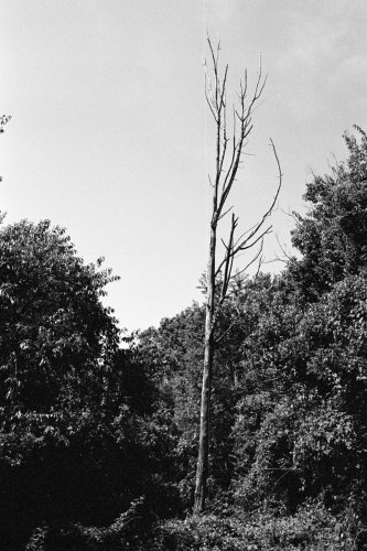 Misc_BigBoy_59_0017_g2p0017