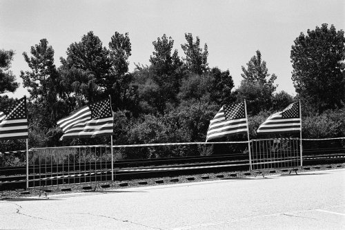 Misc_BigBoy_59_0030_g2p0030
