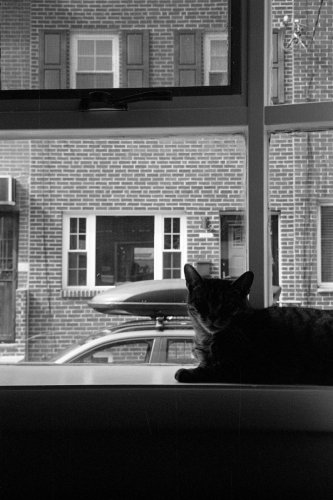 Misc_engage_57_0009_g2p0009
