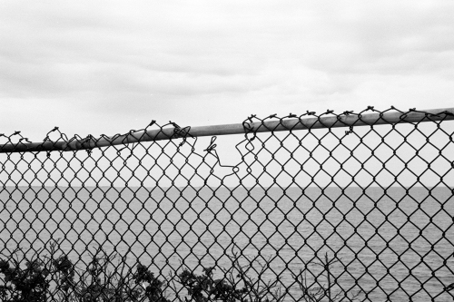 Newport46_0003_g2p0003