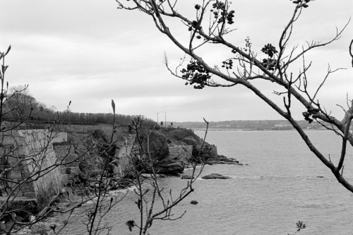 Newport46_0011_g2p0011