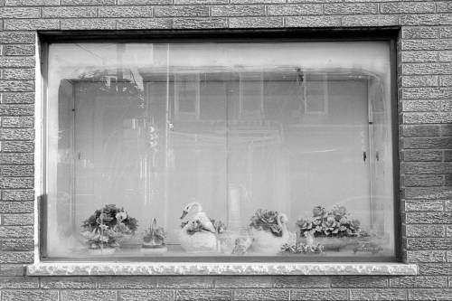 NewportSphilly47_0027_g2p0027