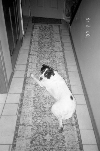 PHL_THANKS_0012_g2p0013