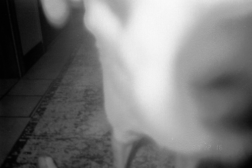 PHL_THANKS_0013_g2p0014