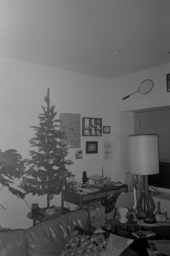 Skiing24_0002_g2p0002