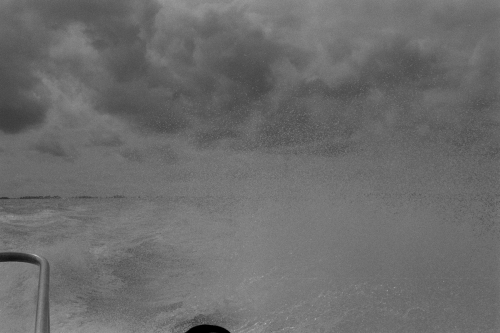 SmithIsland43_0019_g2p0019