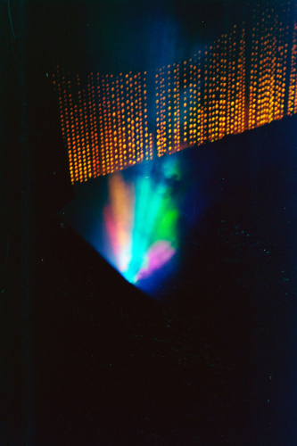 StolenGin12_0022_g2p0025