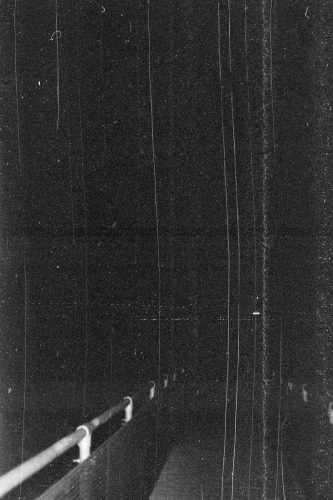 WPassyunk21_0036_g2p0036