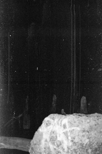 WPassyunk21_0039_g2p0039