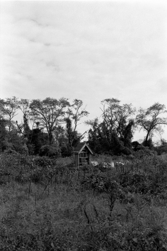 WW2_0010_g2p0010