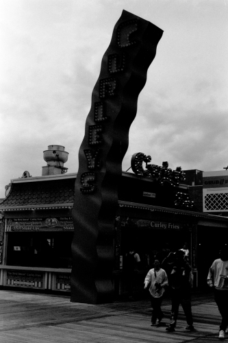 Wildwood49_0005_g2p0005
