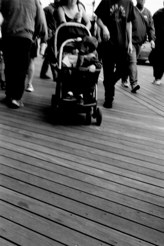 Wildwood49_0024_g2p0024