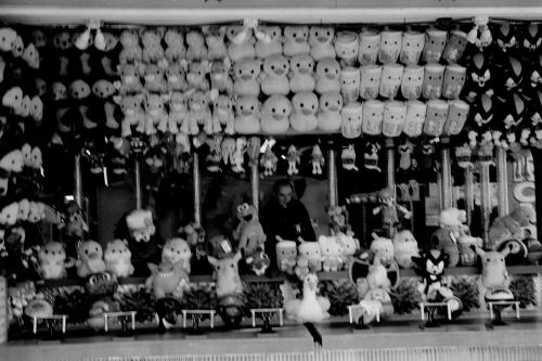 Wildwood49_0030_g2p0030