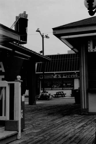 Wildwood49_0038_g2p0038
