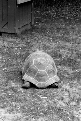 Zoo_wildwood51_0009_g2p0009