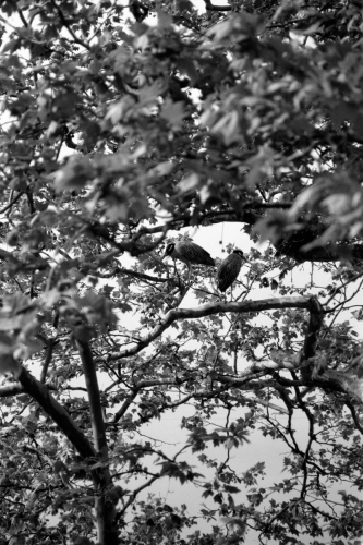 Zoo_wildwood51_0019_g2p0019