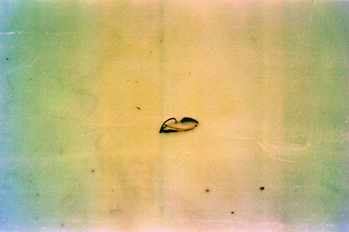 colorsnow25_0013_g2p0013