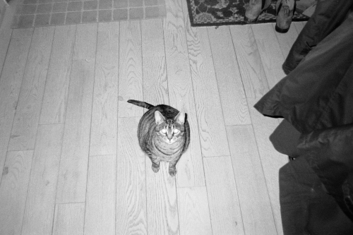 mummers_misc20_0007_g2p0007