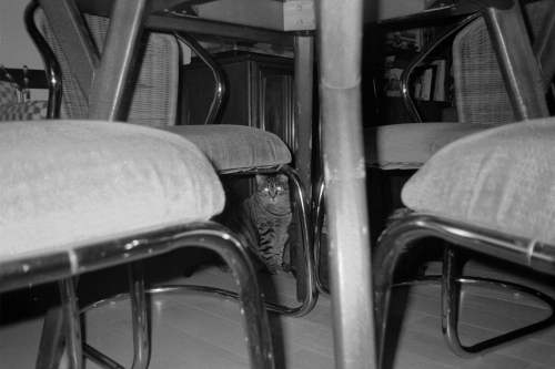 mummers_misc20_0009_g2p0009