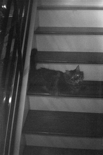 mummers_misc20_0013_g2p0013