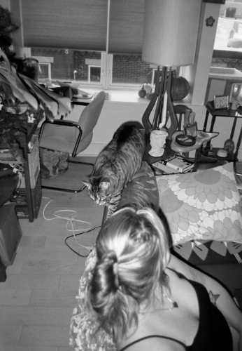 mummers_misc20_0015_g2p0015