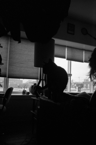 mummers_misc20_0017_g2p0017