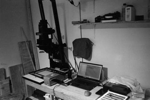 mummers_misc20_0020_g2p0020