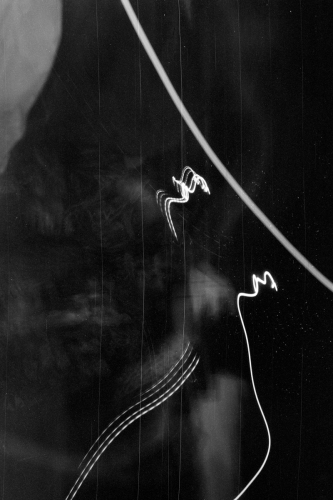 mummers_westpassy19_0012_g2p0012