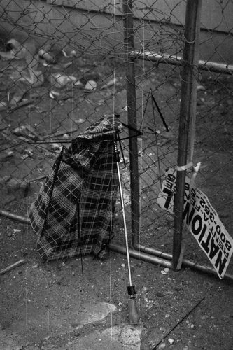 mummers_westpassy19_0022_g2p0022