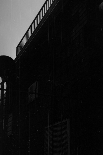 mummers_westpassy19_0026_g2p0026