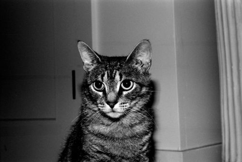 scan0005_edit-scaled