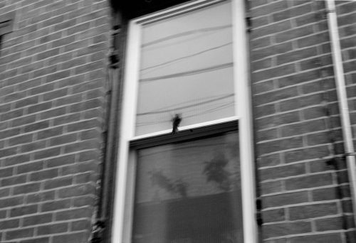 scan0035_edit-scaled