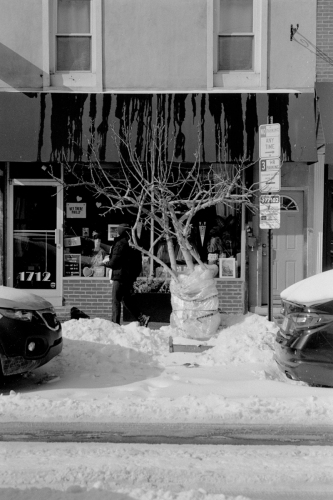 snow27_0012_g2p0012
