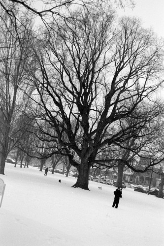 sphillysnow26_0022_g2p0022