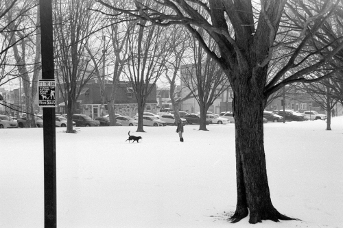 sphillysnow26_0025_g2p0025