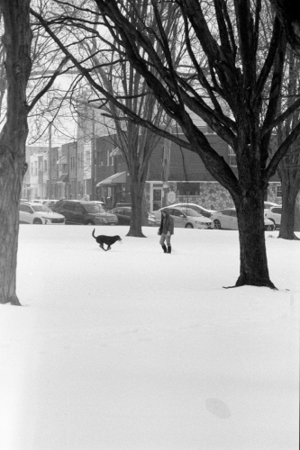 sphillysnow26_0028_g2p0028