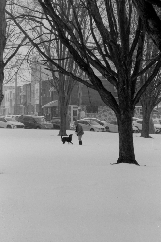 sphillysnow26_0030_g2p0030