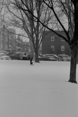 sphillysnow26_0031_g2p0031