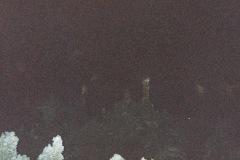 103Deviney008069-R1-E022