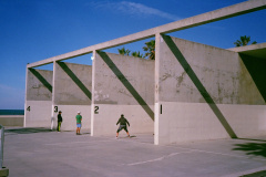 39420033