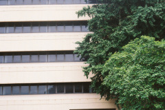 636Deviney009082-R1-030-13A