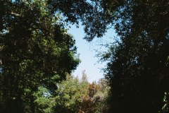 636Deviney009082-R1-054-25A