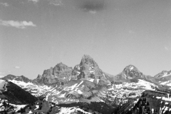 GTNP_BW1