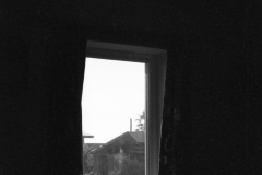 GTNP_BW13