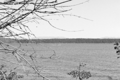 GTNP_BW18