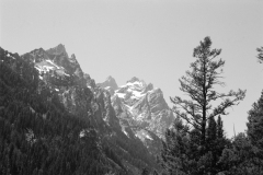 GTNP_BW19