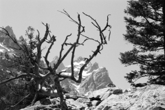 GTNP_BW20